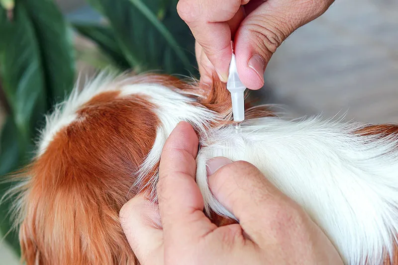 一頭でも多くの命を支えるための仕組み