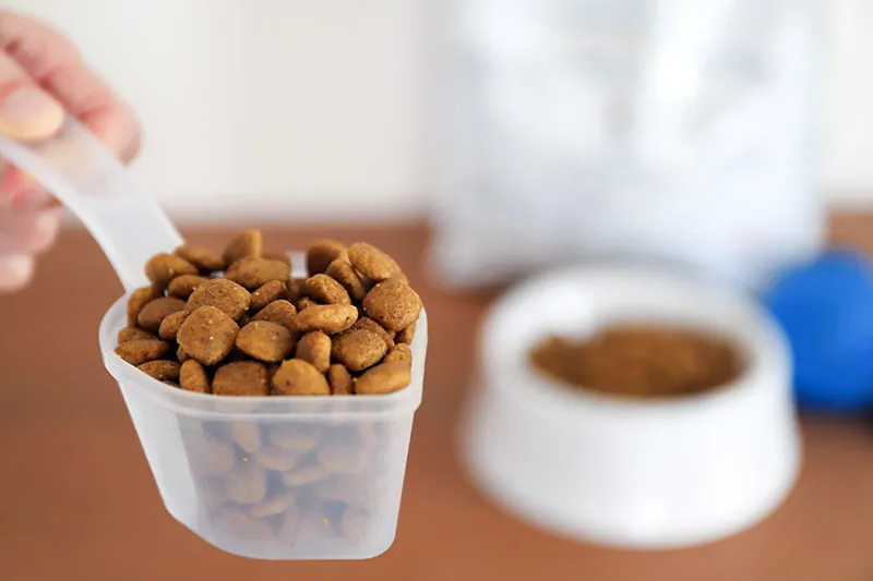 ペットの年齢や体質に寄り添った品揃え