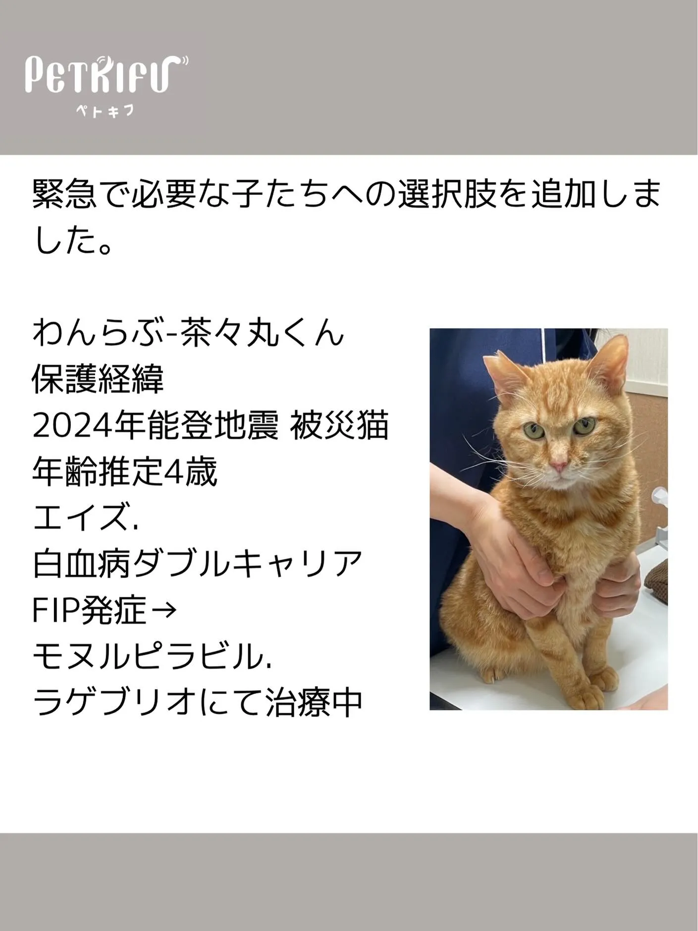 フードを選んでくださったみなさんのおかげで、今月も保護団体へ...