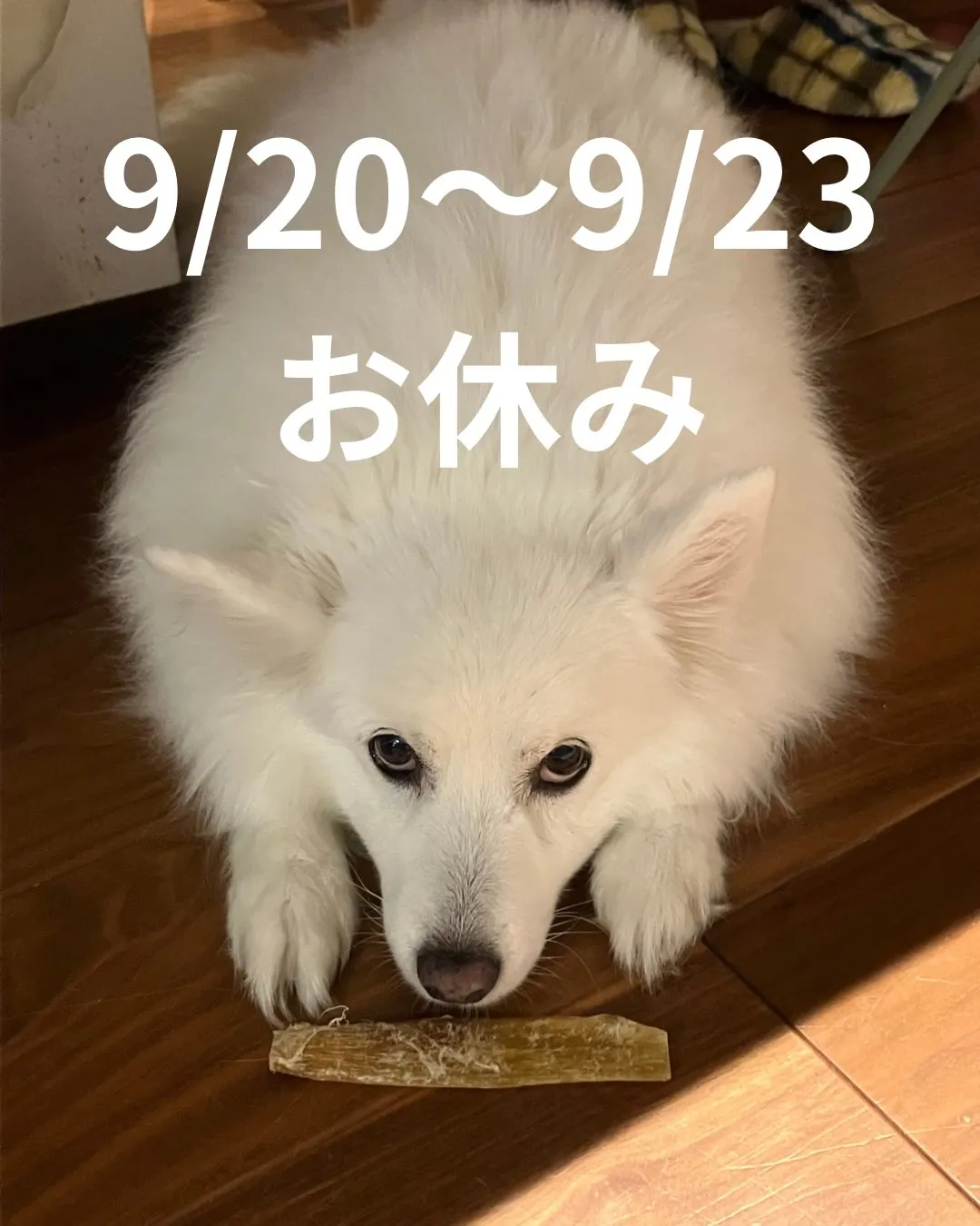 お知らせ