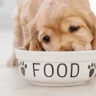 グレインフリー